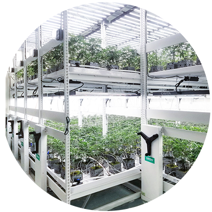 Spacesaver indoor mobile cultivation system