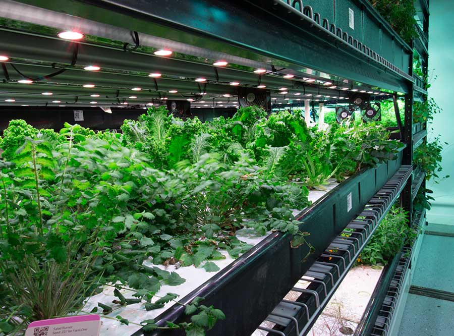 adjustable multi tier vertical grow table system